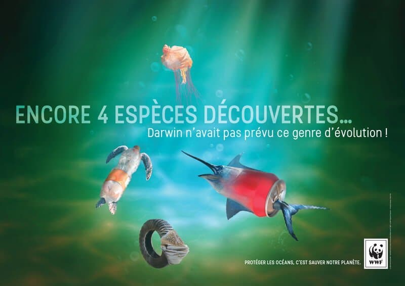 Campagne publicitaire WWF France, graphisme engagé