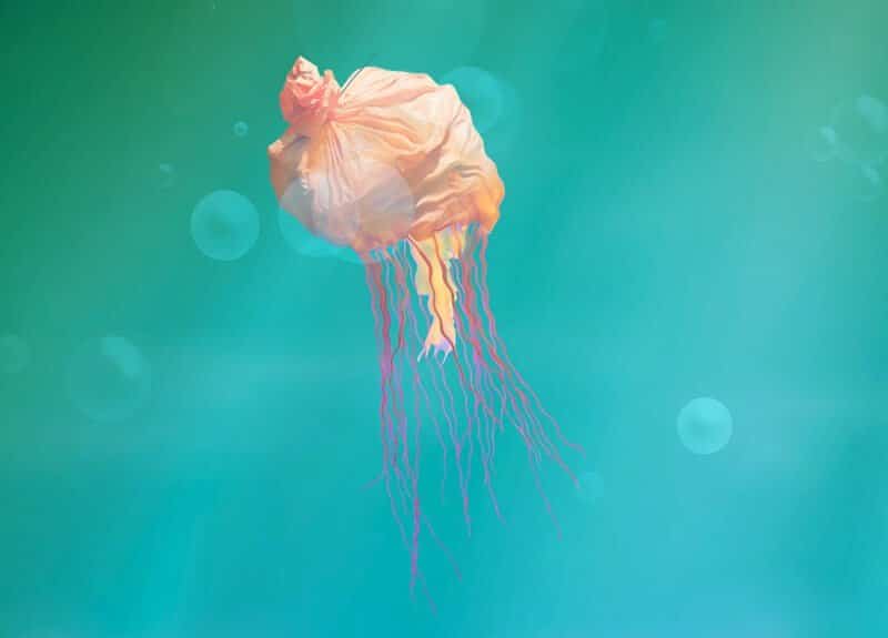 Animal WWF sac méduse, mi-marin mi-déchet